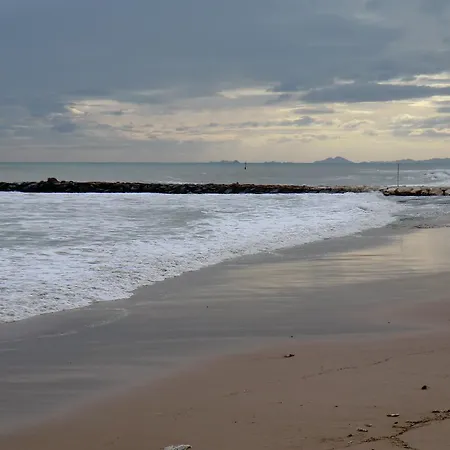 Apartamento Casas - Miramar Ix *